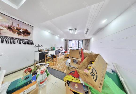 莱顿小城楼盘图片