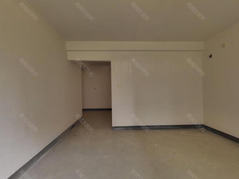 实拍图