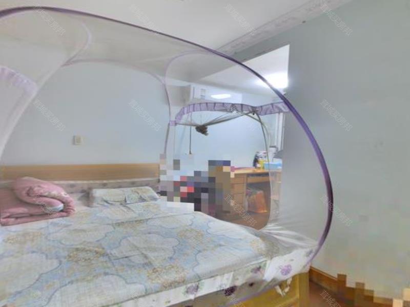 实拍图