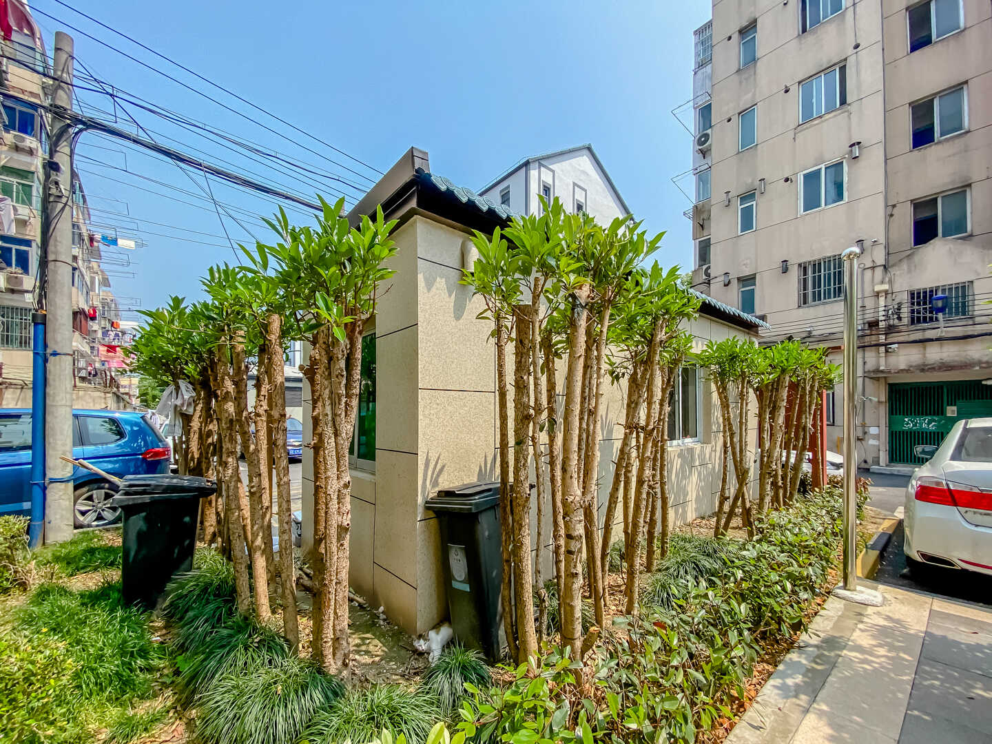 中山东路180弄