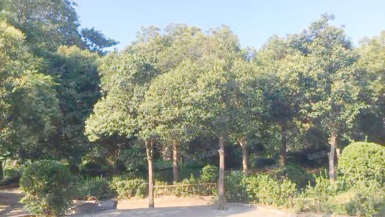 醉白景苑